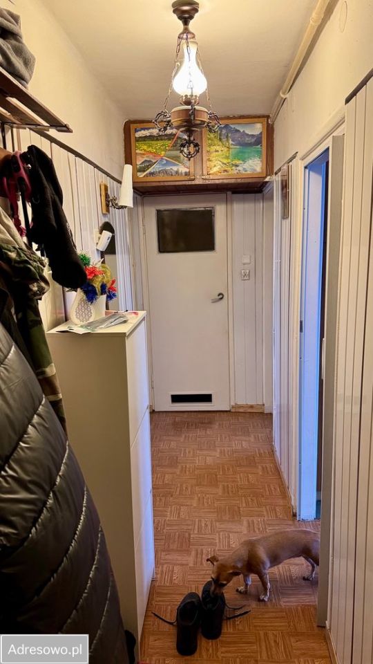 Mieszkanie 2-pokojowe Dąbrowa Górnicza Centrum, ul. Jana III Sobieskiego. Zdjęcie 3