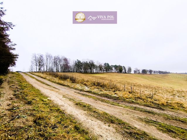 Działka rekreacyjna Kiersztanowo. Zdjęcie 4