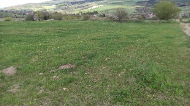 Działka rolna Królik Polski, ul. Bieszczadzka. Zdjęcie 1