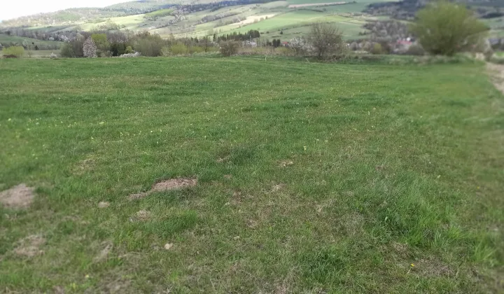 Działka rolna Królik Polski, ul. Bieszczadzka