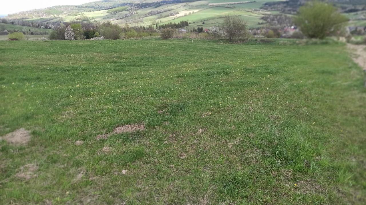 Działka rolna Królik Polski, ul. Bieszczadzka. Zdjęcie 1