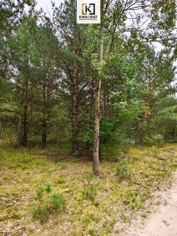 Działka Celinów. Zdjęcie 2