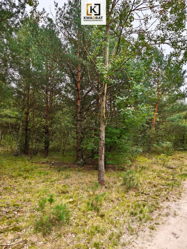 Działka Celinów. Zdjęcie 2