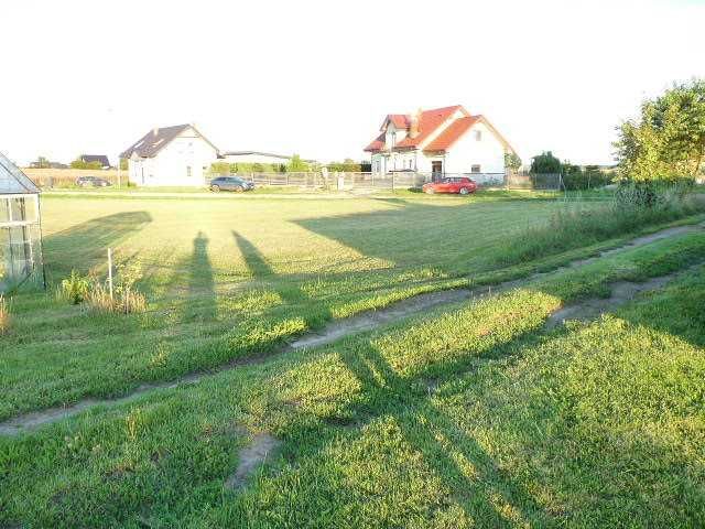 Działka rolno-budowlana Gołańcz Pomorska