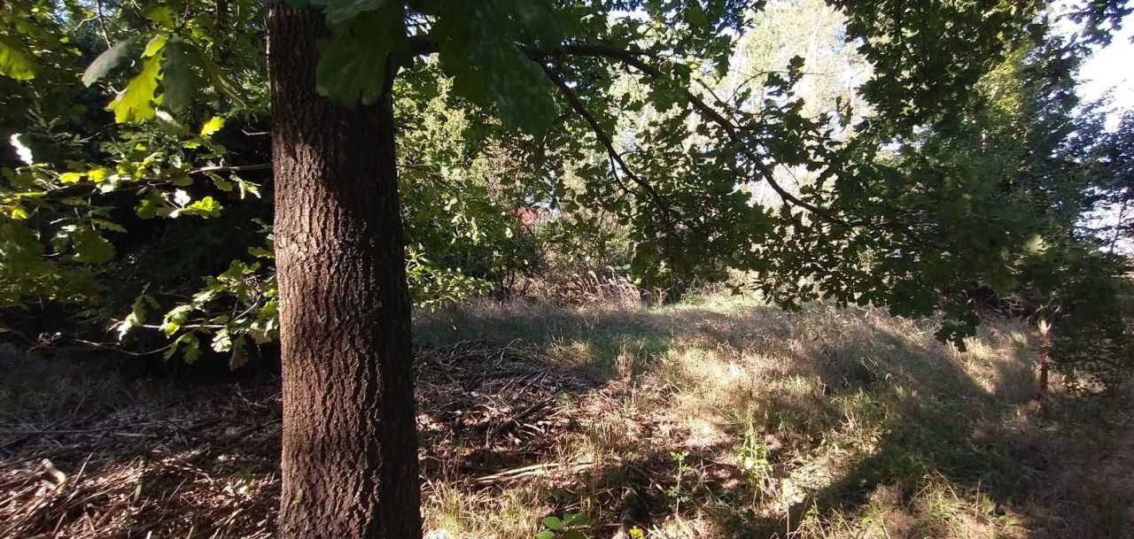 Działka budowlana Świniary. Zdjęcie 5