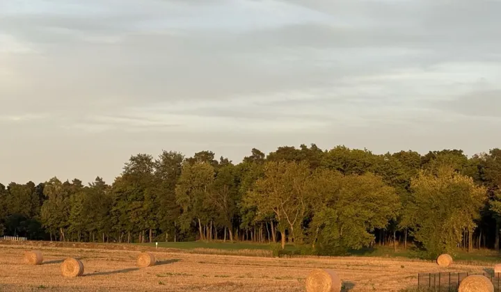 Działka rolno-budowlana Henrysin