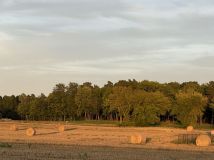 Działka rolno-budowlana Henrysin
