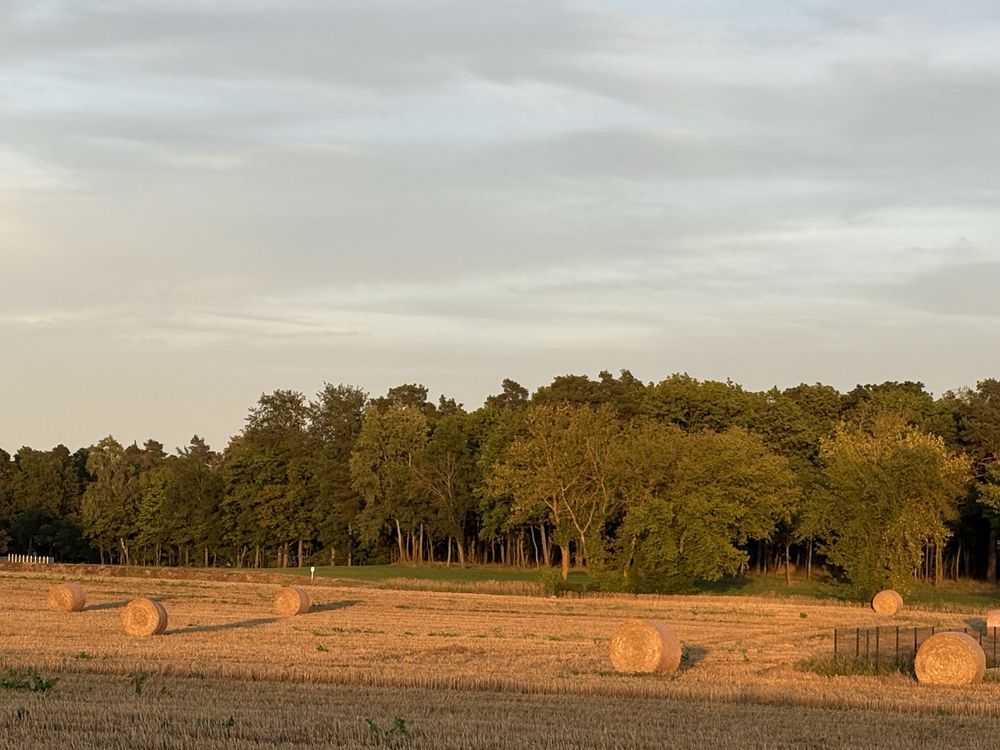 Działka rolno-budowlana Henrysin