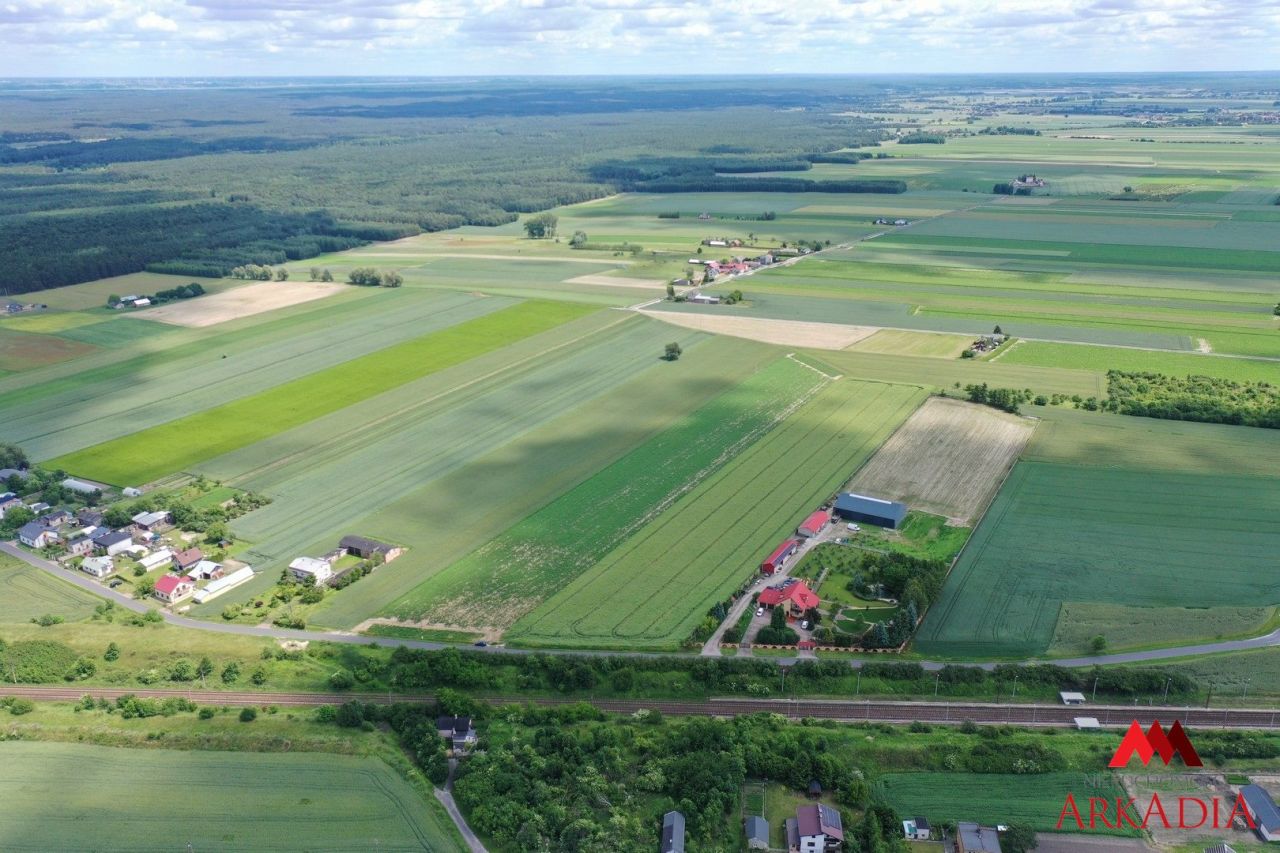 Działka rolna Gołaszewo. Zdjęcie 6