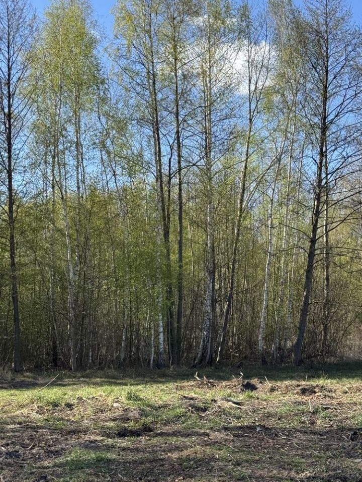 Działka budowlana Kobyłka. Zdjęcie 1