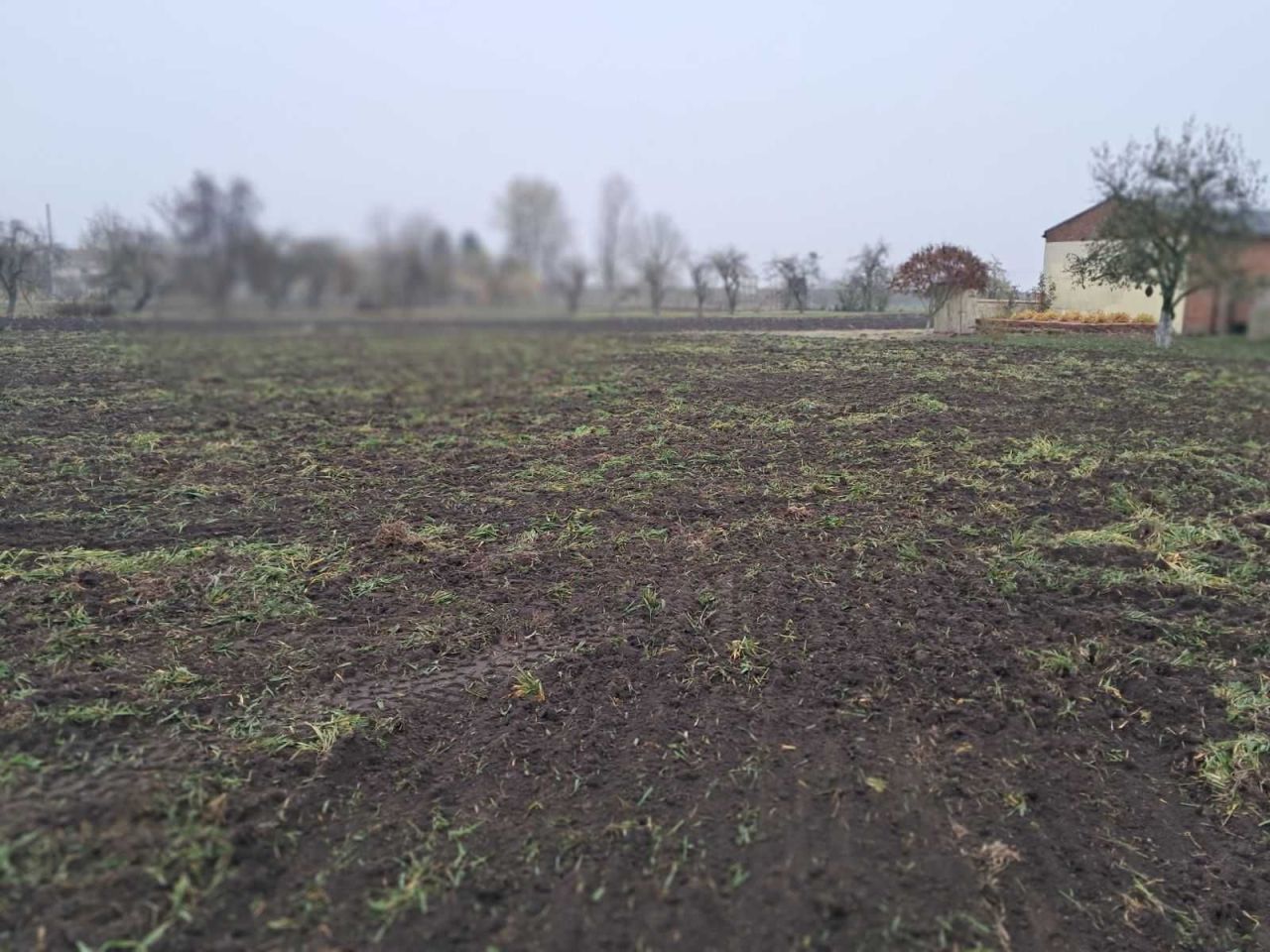 Działka budowlana Piotrków Kujawski, ul. Sadowa. Zdjęcie 8