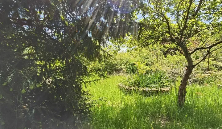 Działka rod Kielce Świętokrzyskie, ul. Wschodnia