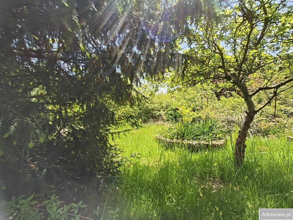 Działka rod Kielce Świętokrzyskie, ul. Wschodnia. Zdjęcie 7