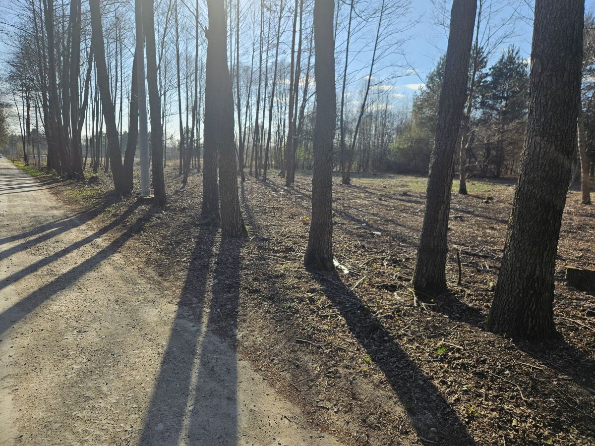 Działka budowlana Żanęcin, ul. Gościniec. Zdjęcie 17