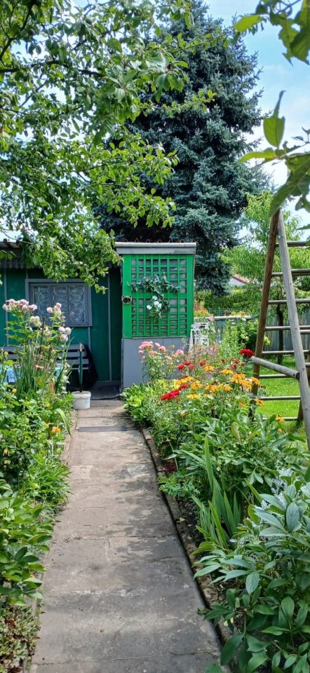 Działka rod Bytom, ul. Brzezińska. Zdjęcie 1