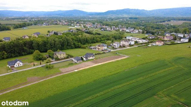 Działka rolno-budowlana Bulowice. Zdjęcie 2
