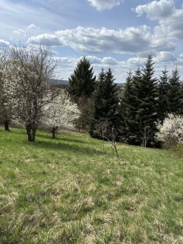 Działka budowlana Przemyśl Zasanie, ul. Węgierska. Zdjęcie 9