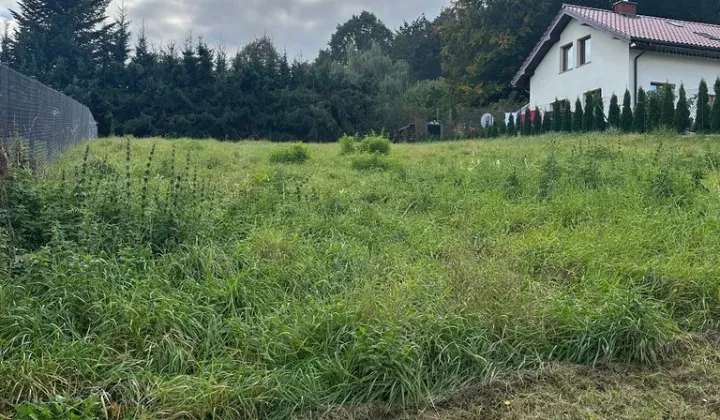 Działka budowlana Michałowice, ul. Leśna