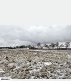 Działka budowlana Cybinka, ul. Białkowska. Zdjęcie 4