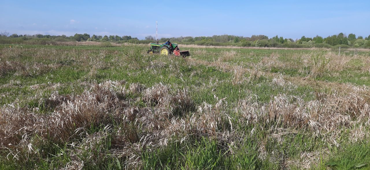 Działka rolna Dąbki, ul. Polna. Zdjęcie 12