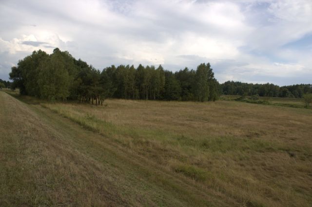 Działka rekreacyjna Zapolice. Zdjęcie 1