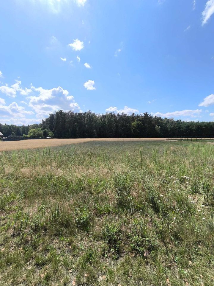 Działka budowlana Lubiaszów Nowy Lubiaszów, ul. Dębowa. Zdjęcie 3