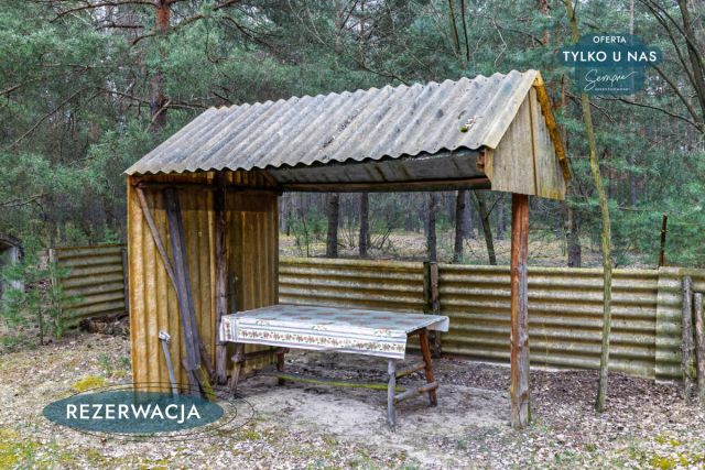 Działka leśna Kije. Zdjęcie 15