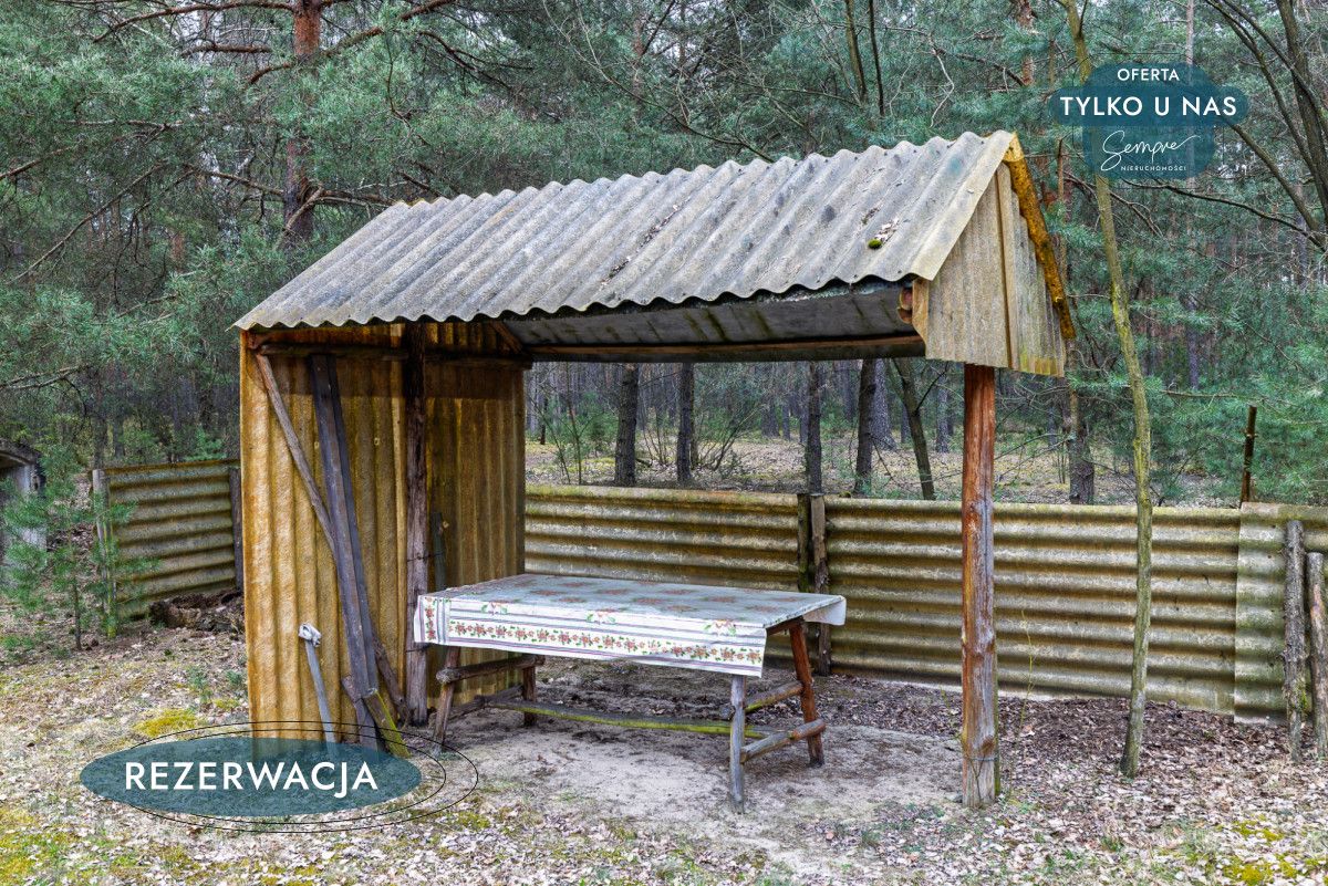 Działka leśna Kije. Zdjęcie 15