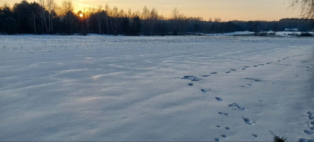 Działka rolna Łokietnica. Zdjęcie 7