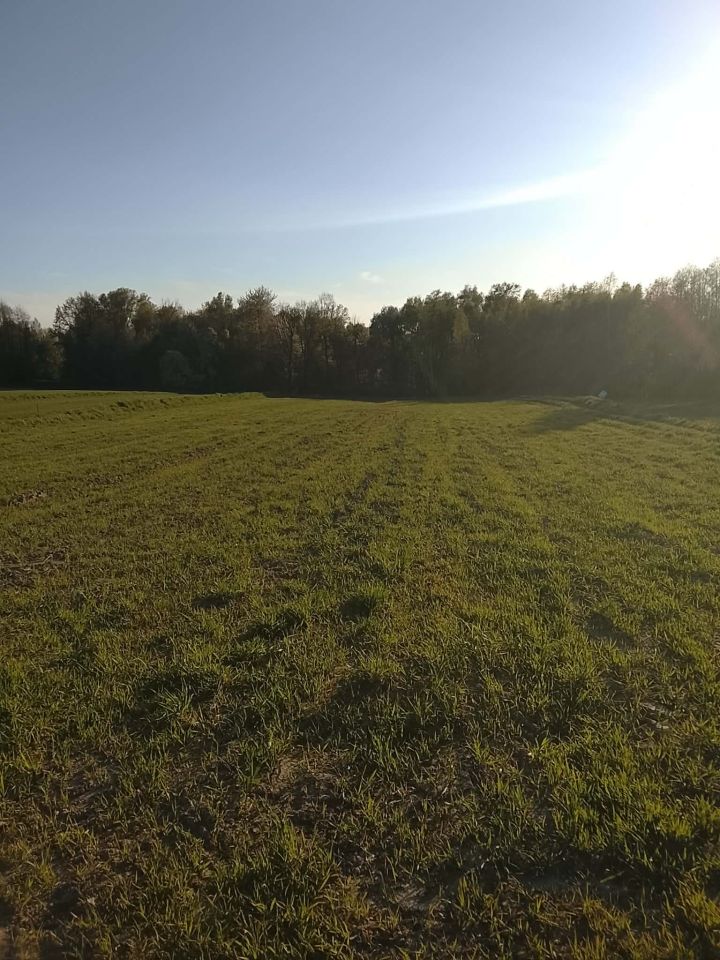 Działka budowlana Poręba Radlna. Zdjęcie 7