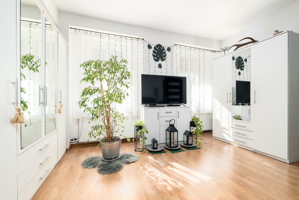 Mieszkanie 2-pokojowe Lipiany. Zdjęcie 2