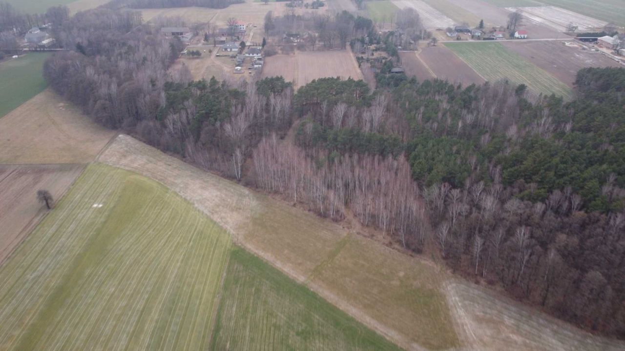 Działka rolno-budowlana Lesieniec. Zdjęcie 4