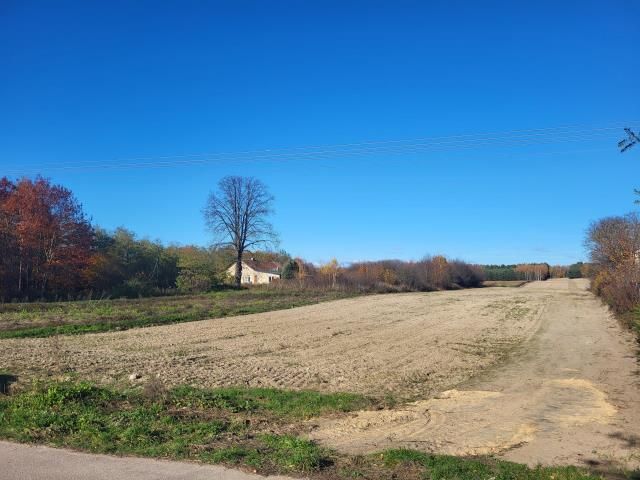 Działka leśna Drochówka. Zdjęcie 7