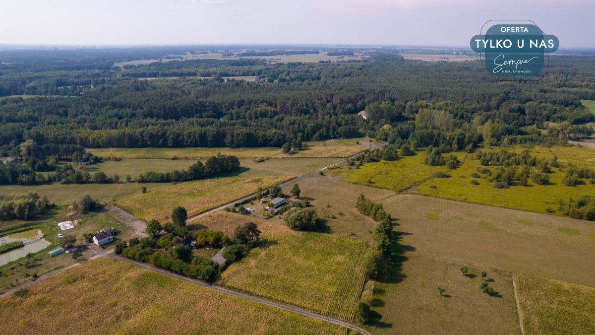 Działka siedliskowa Kiki. Zdjęcie 25