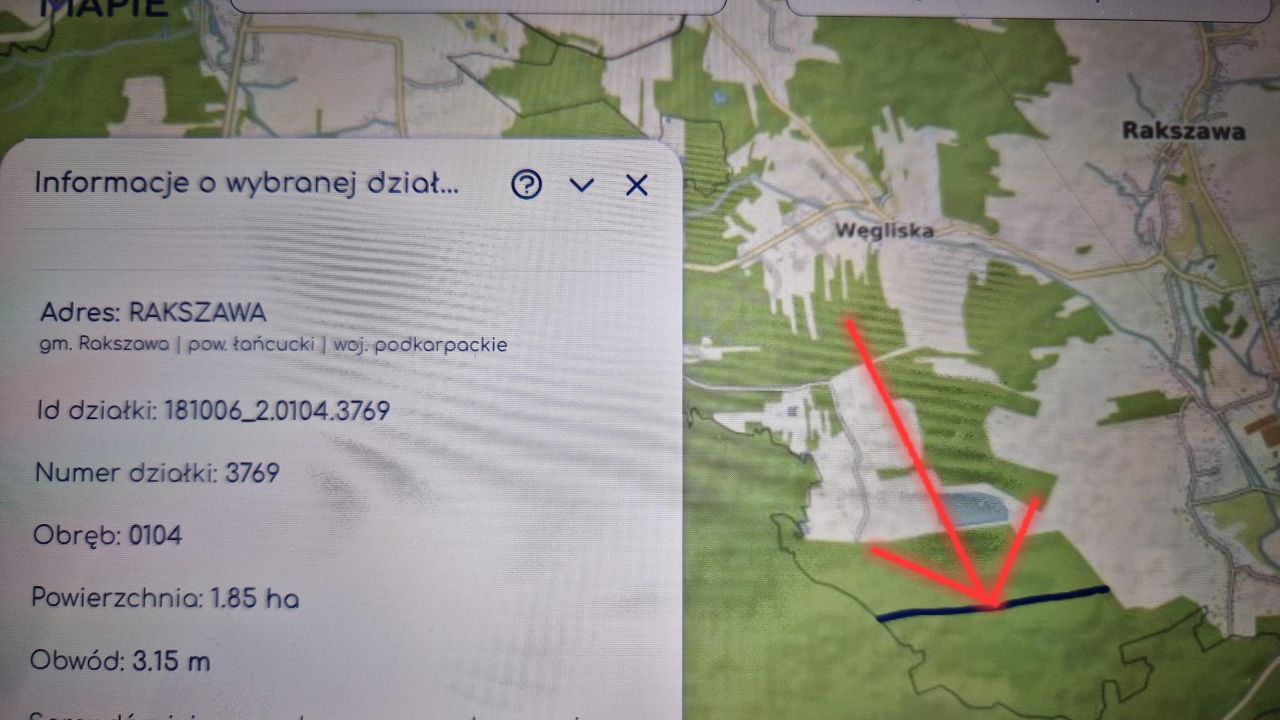 Działka leśna Rakszawa Wołochy. Zdjęcie 3