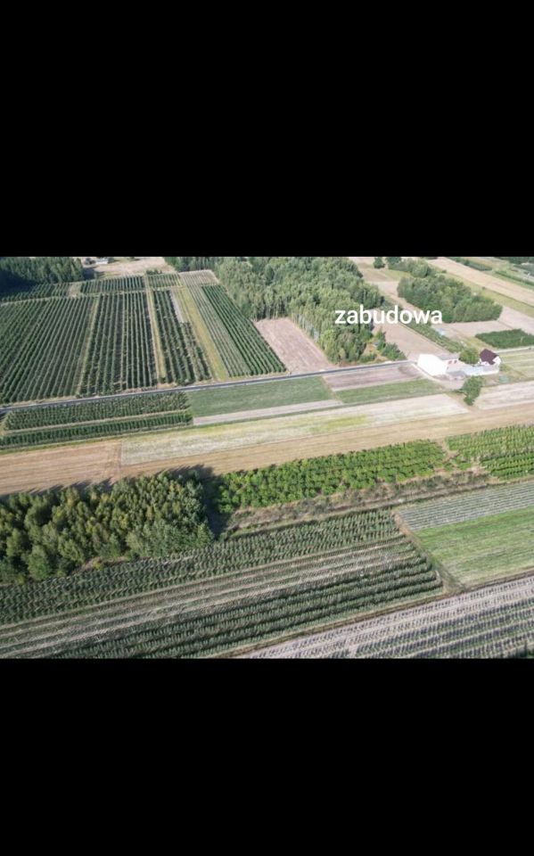 Działka leśna Piekut. Zdjęcie 7