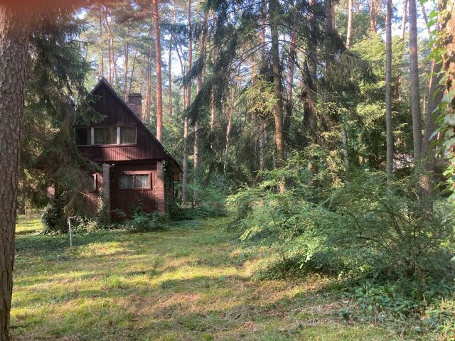 Działka budowlana Tartak Brzózki, ul. Akacjowa. Zdjęcie 1