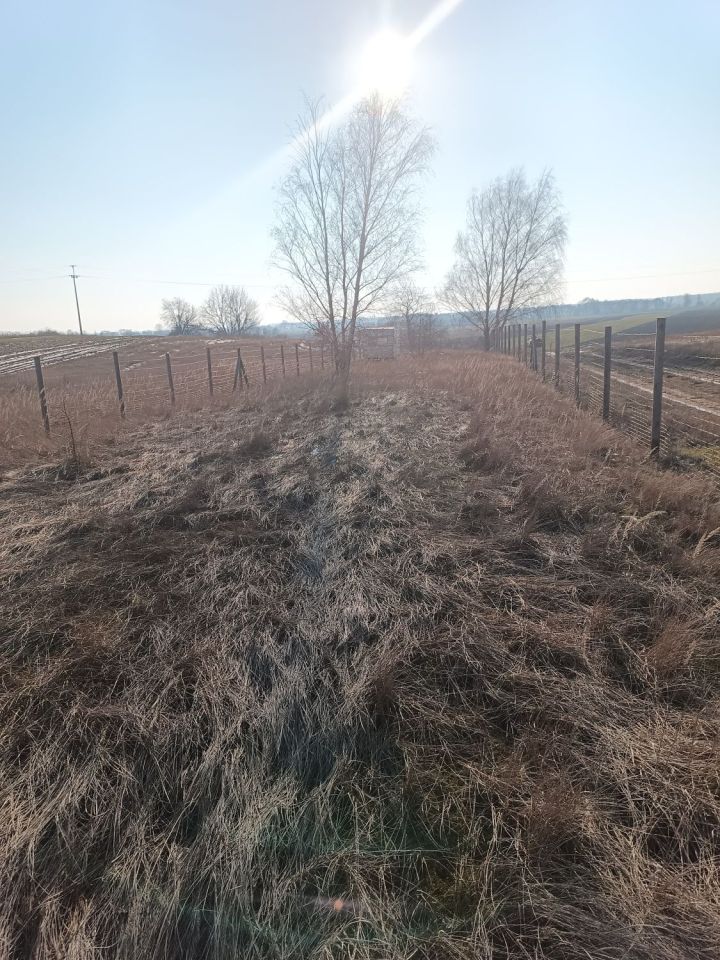 Działka budowlana Kwileń. Zdjęcie 8