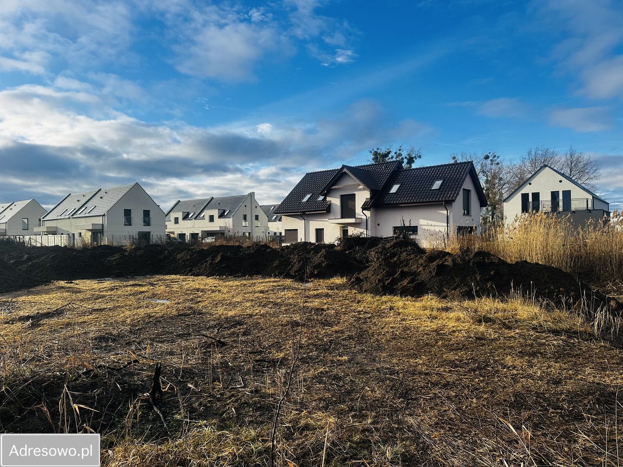 Działka leśna Siechnice. Zdjęcie 6