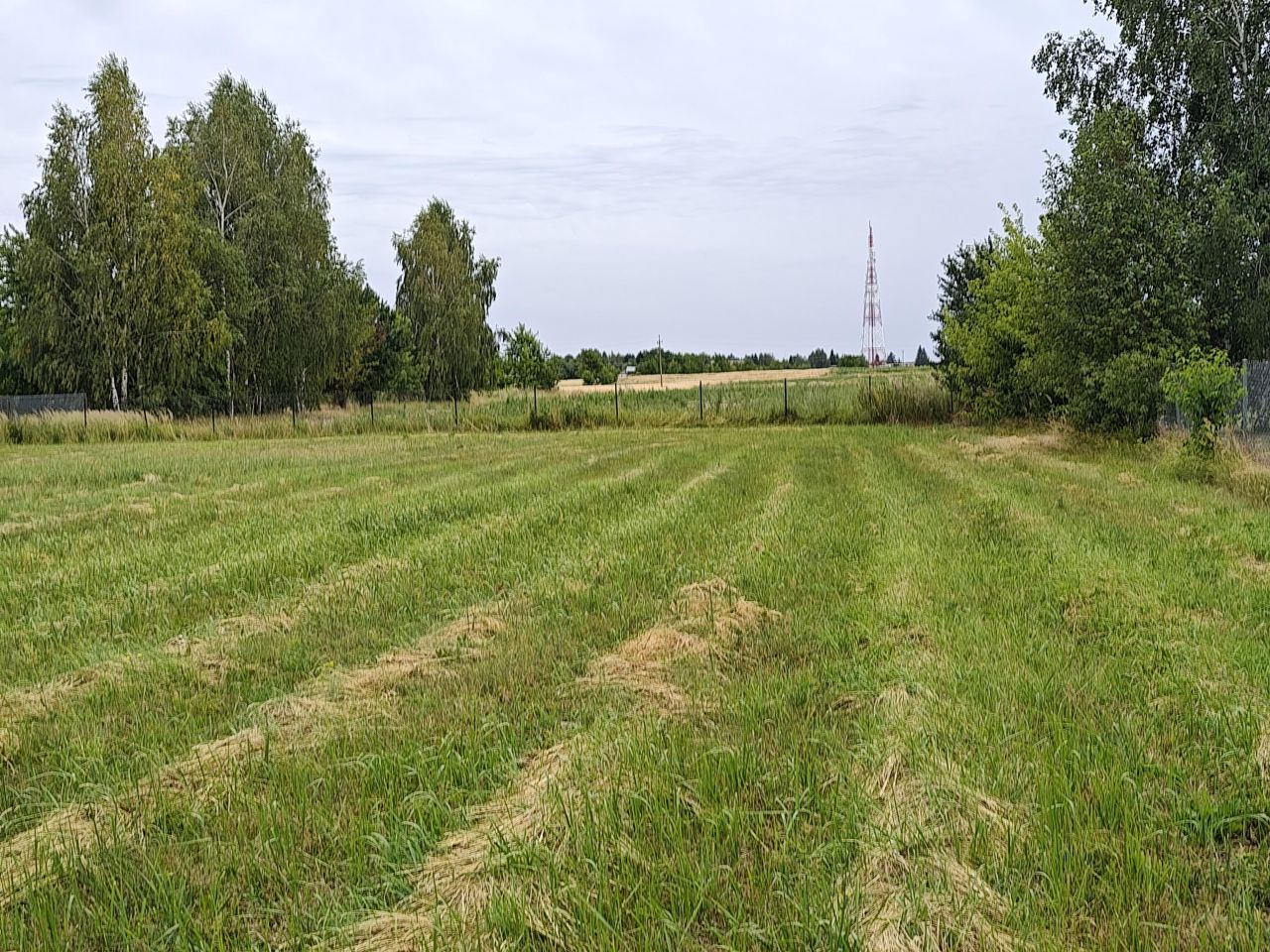 Działka budowlana Suszno Suszno-Kolonia, ul. Zielona. Zdjęcie 1