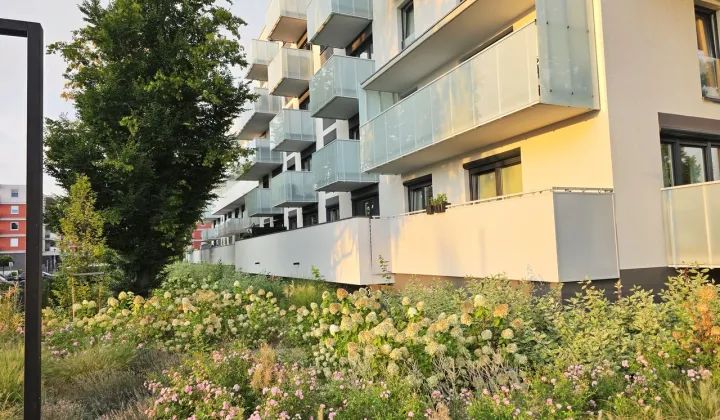 Mieszkanie 3-pokojowe Wrocław Psie Pole, ul. Adama Jerzego Czartoryskiego