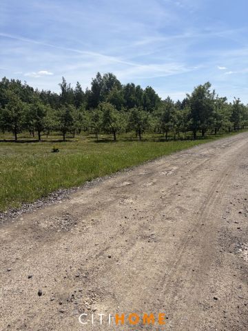 Działka budowlana Sobienie Kiełczewskie Pierwsze. Zdjęcie 5