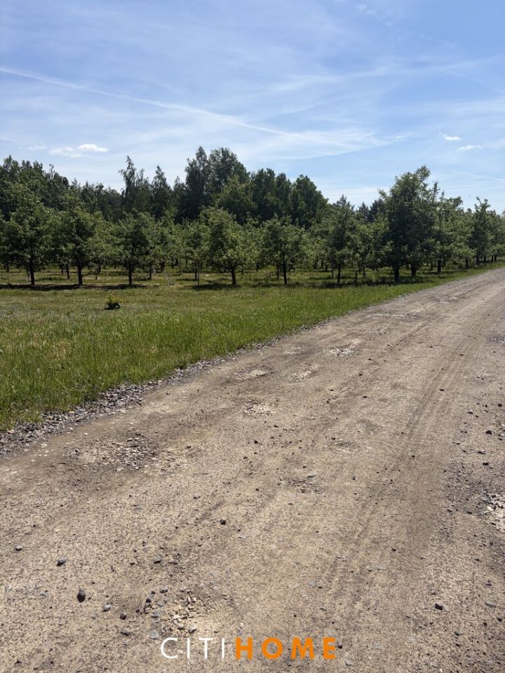 Działka budowlana Sobienie Kiełczewskie Pierwsze. Zdjęcie 5