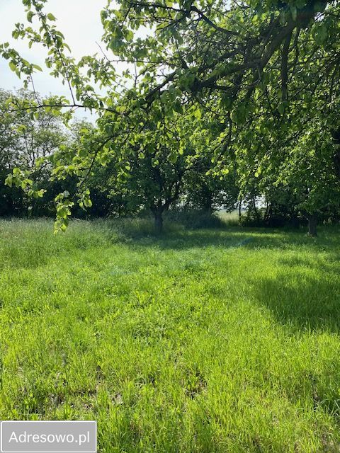 Działka budowlana Dąbrówka, ul. Kościelna. Zdjęcie 7