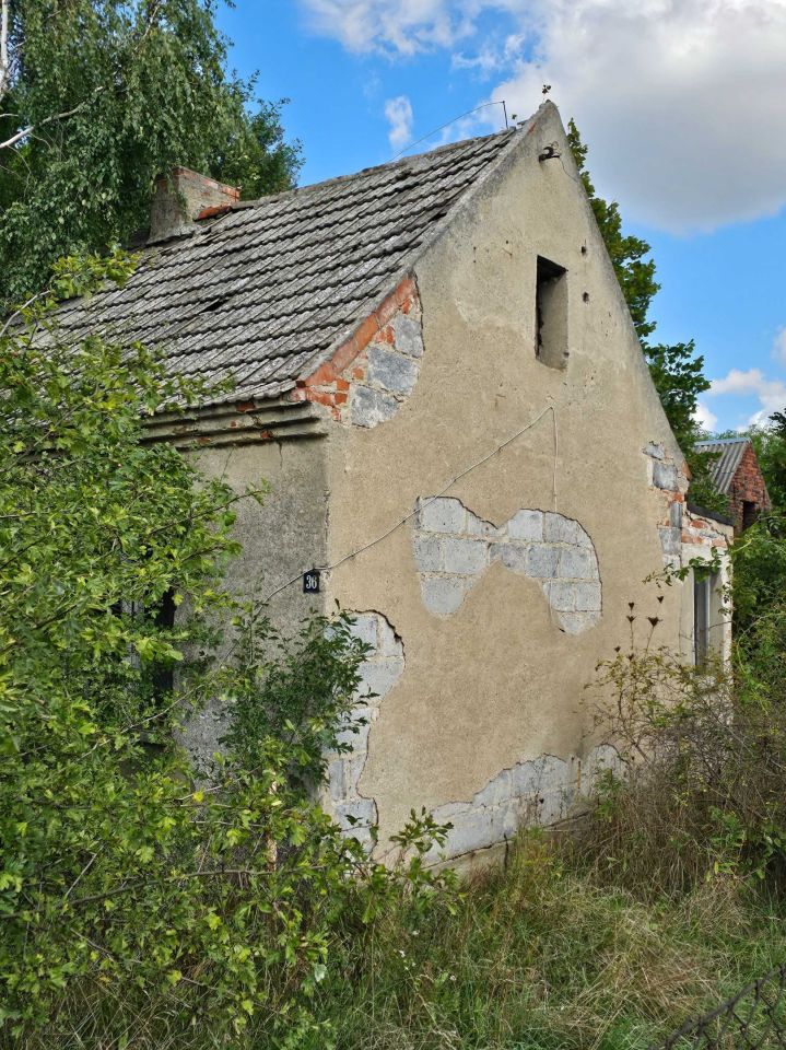 Działka rolno-budowlana Pieruchy. Zdjęcie 3