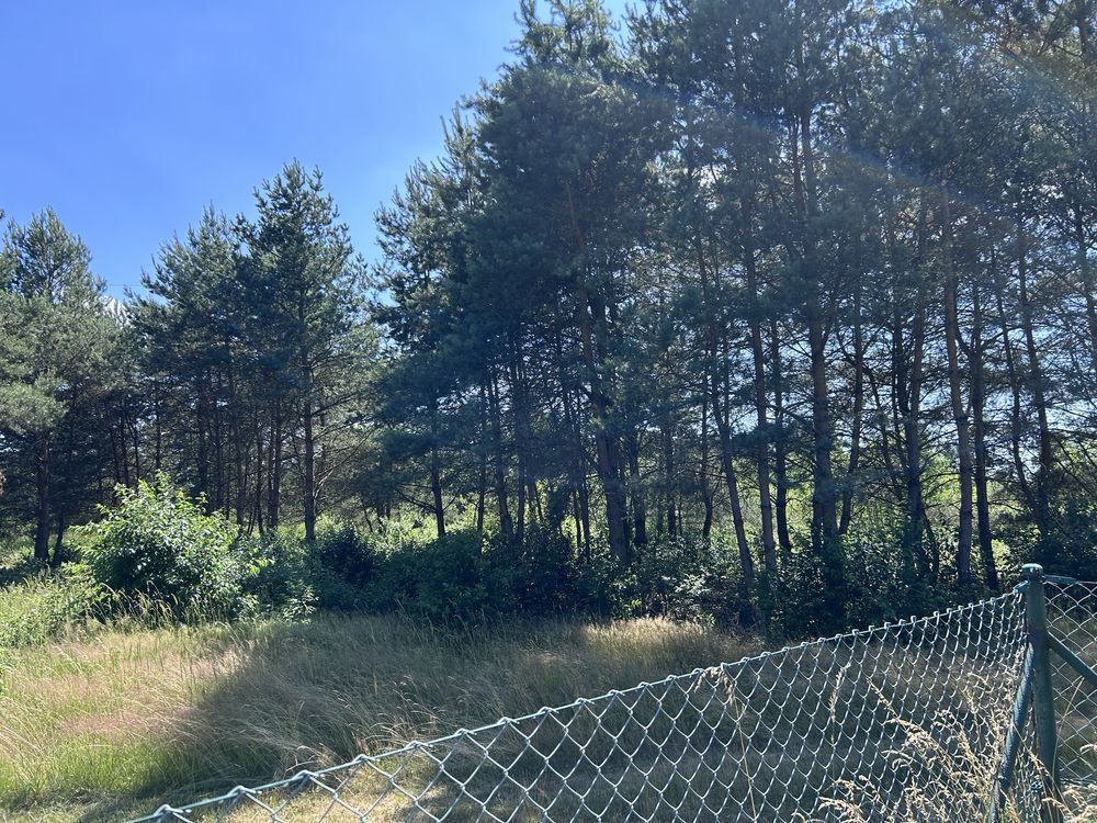 dom wolnostojący Ortowice. Zdjęcie 2