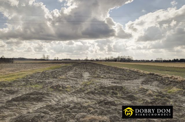 Działka budowlana Hajnówka. Zdjęcie 1