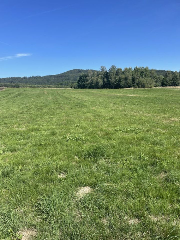 Działka budowlana Sędzisław. Zdjęcie 5