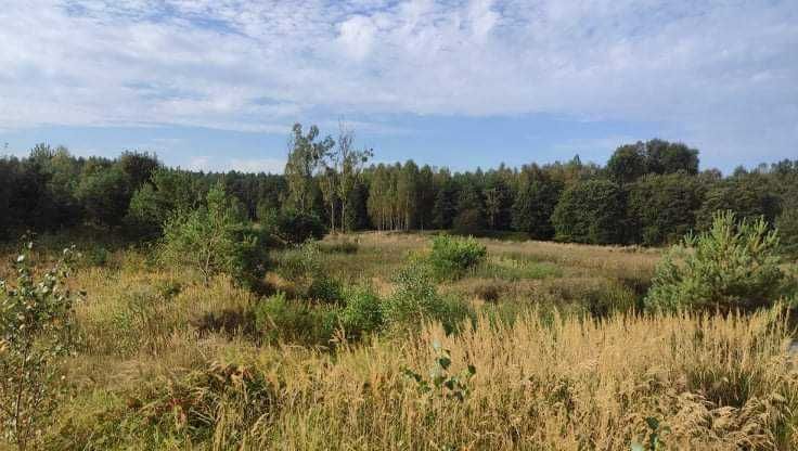 Działka inwestycyjna Sieraków. Zdjęcie 3