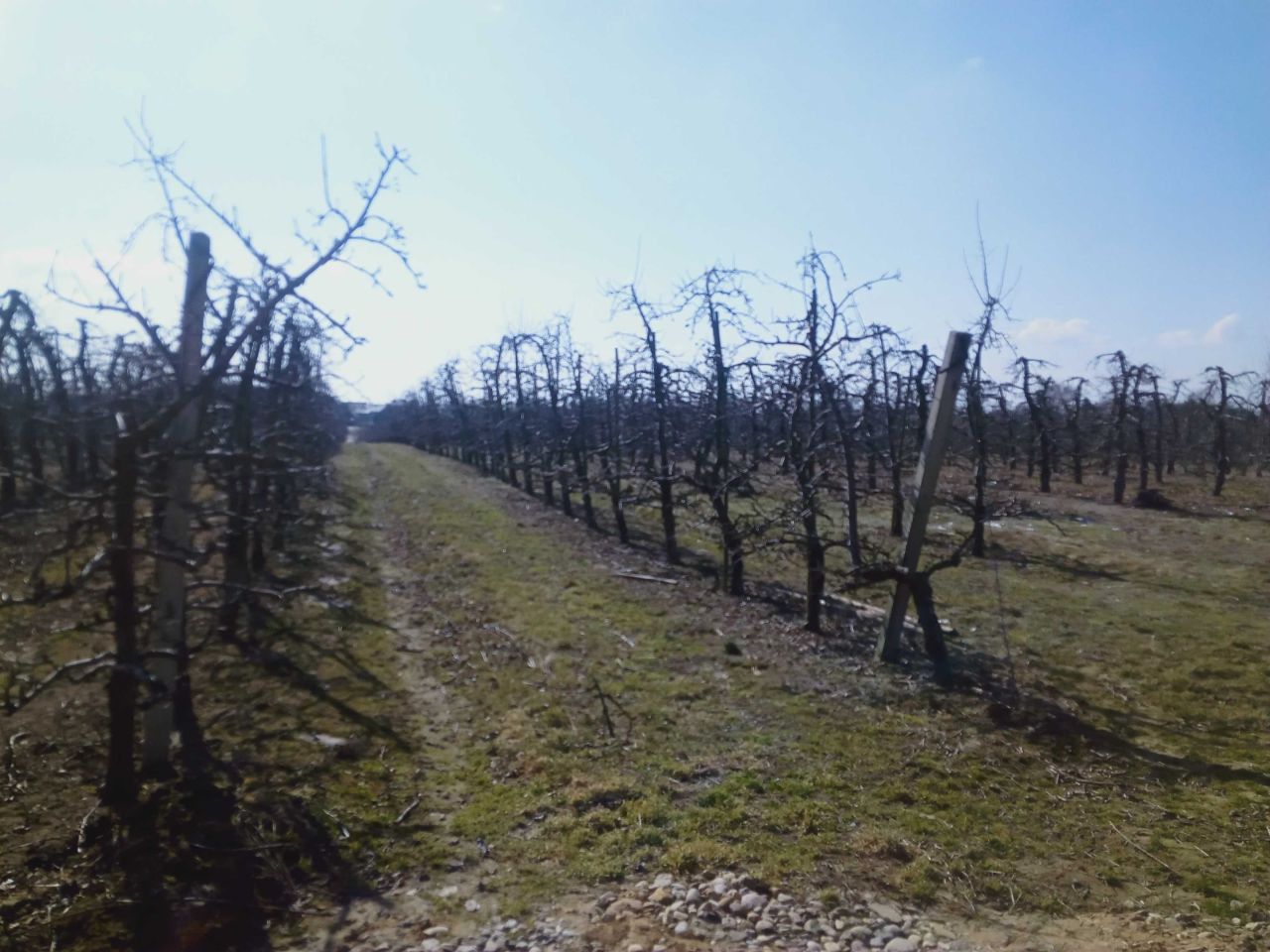 Działka budowlana Stok Lacki, ul. Szafirowa. Zdjęcie 6